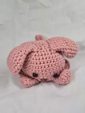 Perky Little Puppy