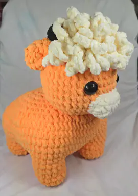 Highland Cow